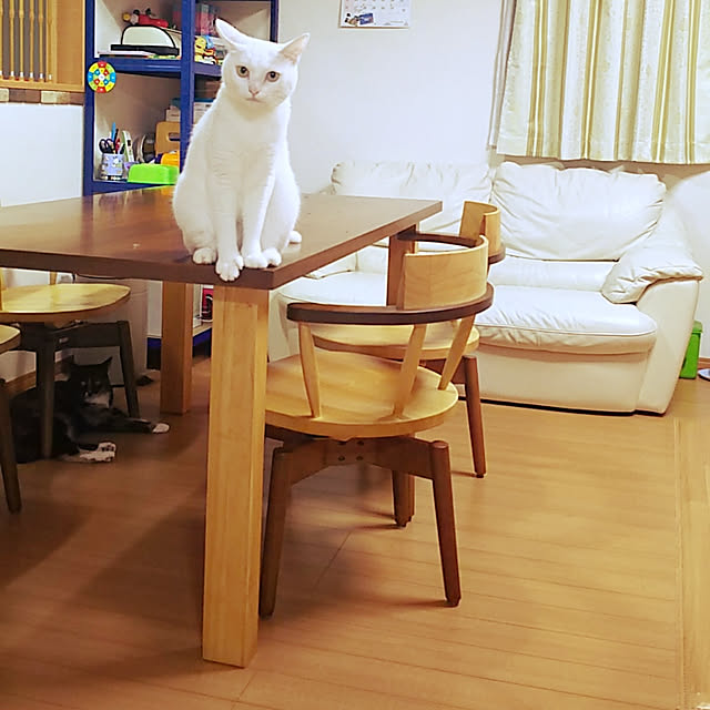 h-a-ri.mamaさんの実例写真