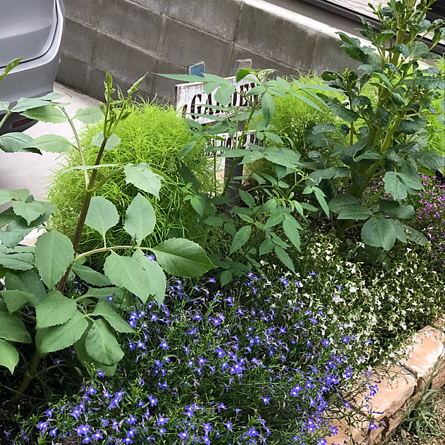 small_hill_house.04さんの実例写真