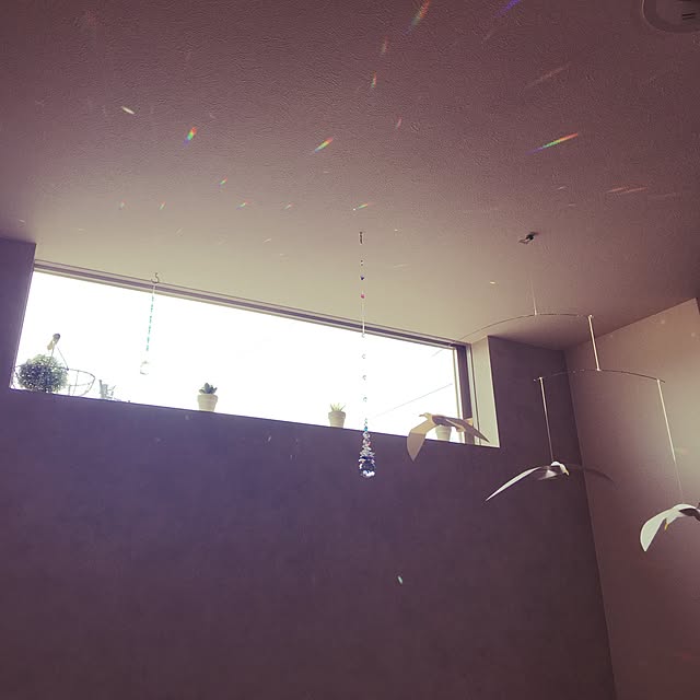 Michiyoさんの実例写真