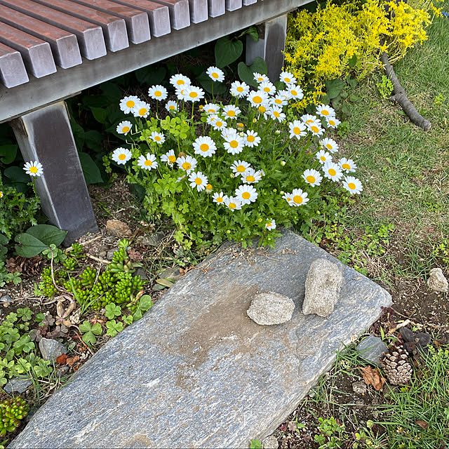 kasさんの実例写真