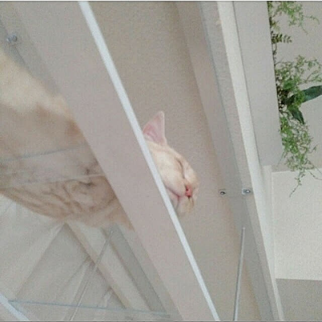 heart.emiemi57.whiteさんの実例写真