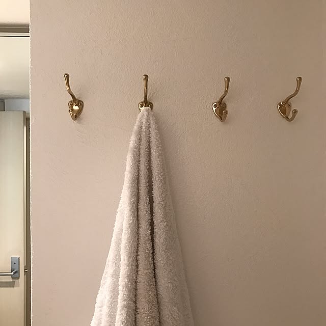 derazouさんの実例写真