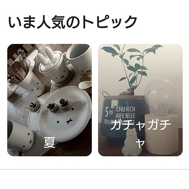 tan5さんの実例写真
