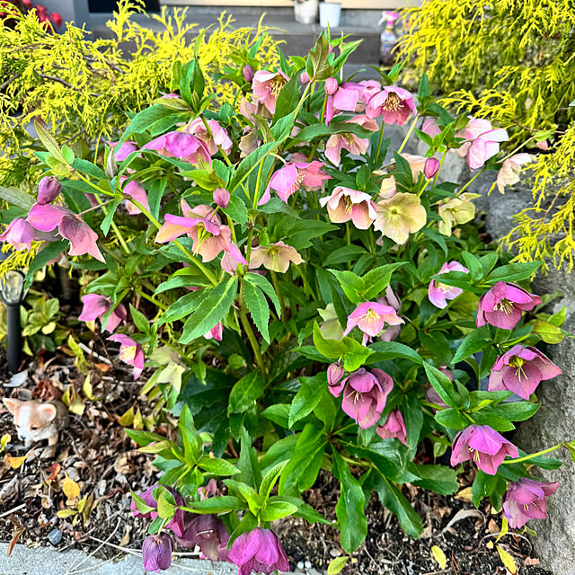 porinさんの部屋