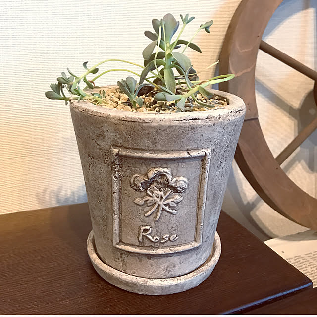 rinrinさんの実例写真