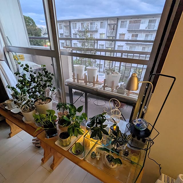 mi-saさんの部屋