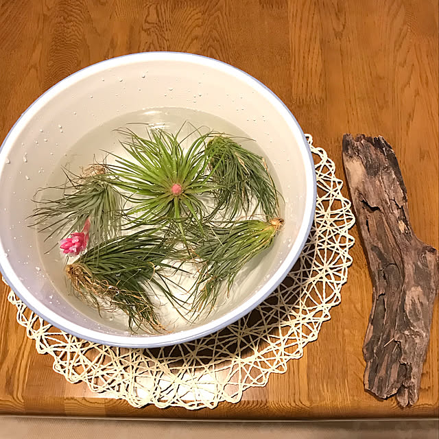 miporinさんの実例写真