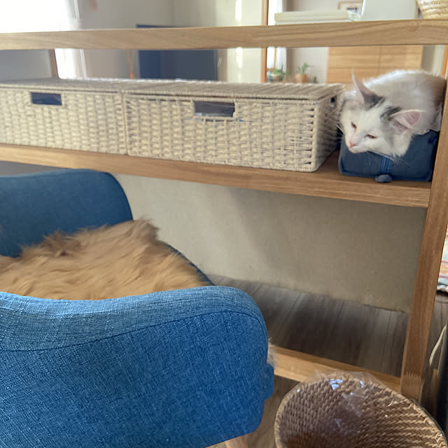 miwaさんの実例写真