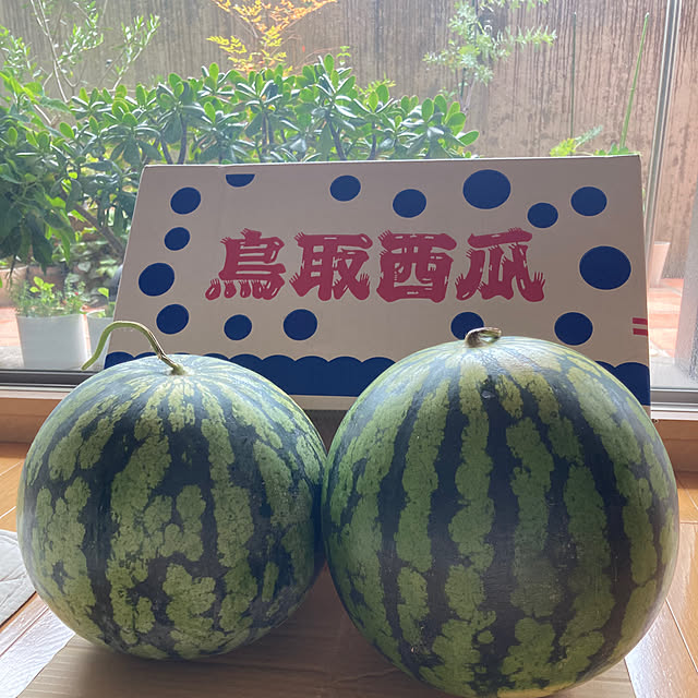mikanさんの部屋