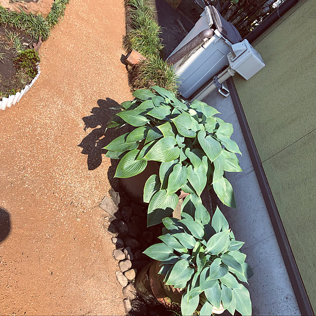 kumako0147さんの実例写真