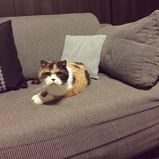 sora_sanさんの実例写真