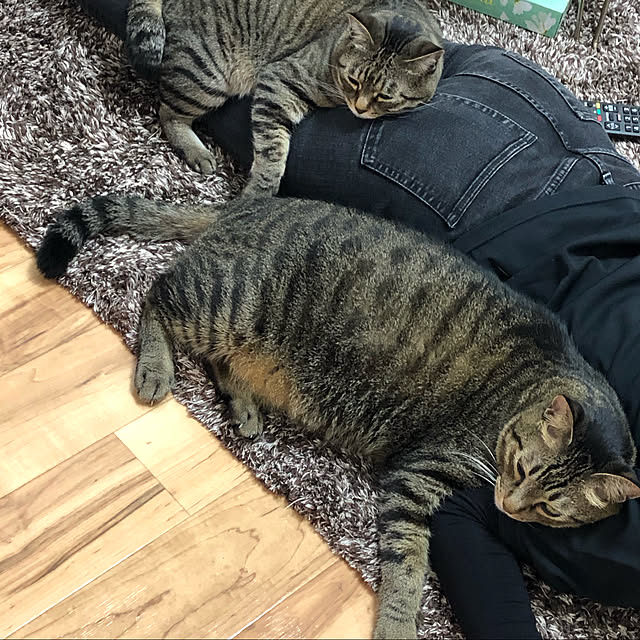 ringoandyuzuさんの実例写真