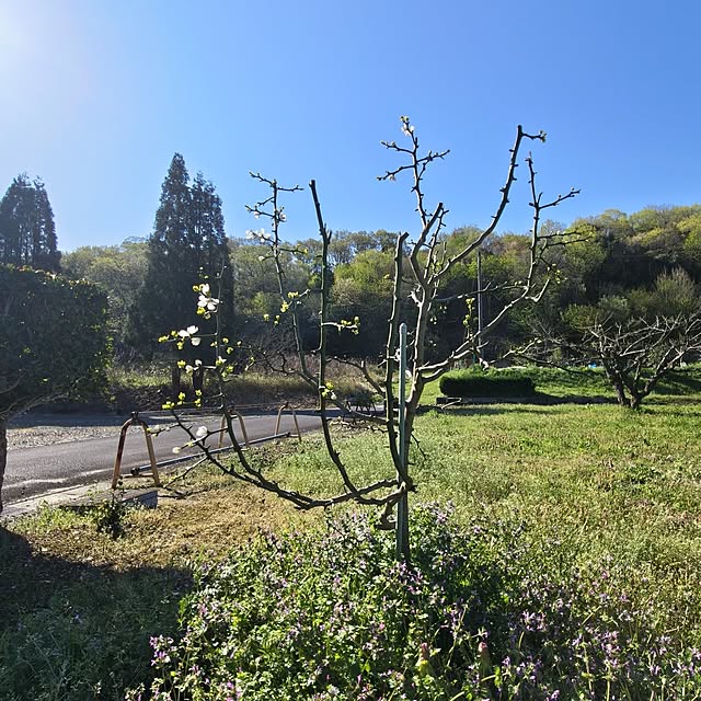 Rubiconさんの部屋