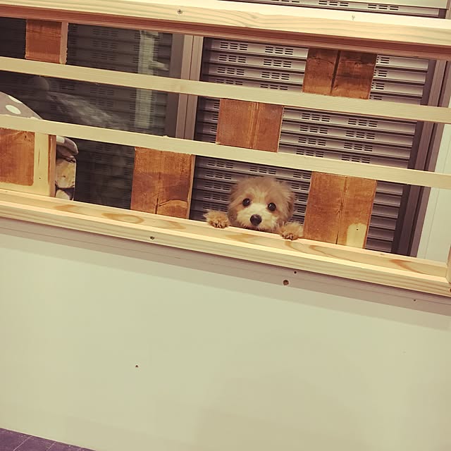 cocco0505さんの実例写真