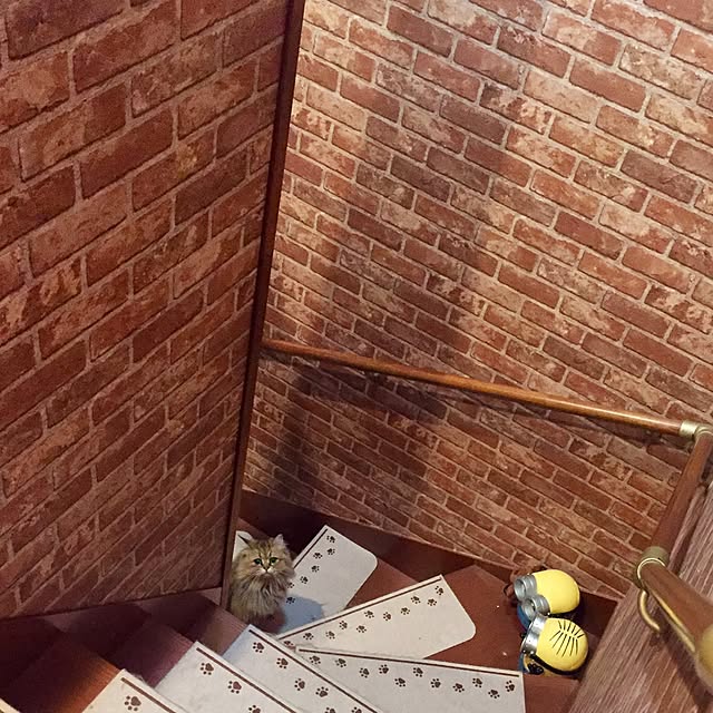 butachanさんの実例写真