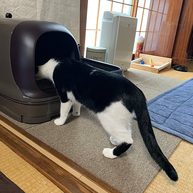 nanohanaさんの部屋