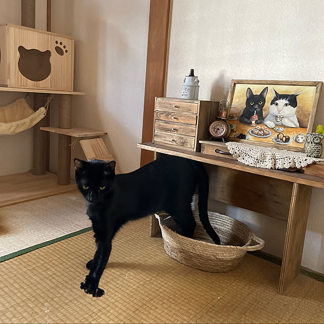 harukaさんの実例写真