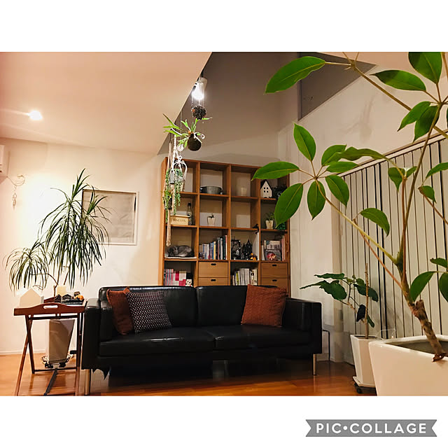 maroさんの実例写真