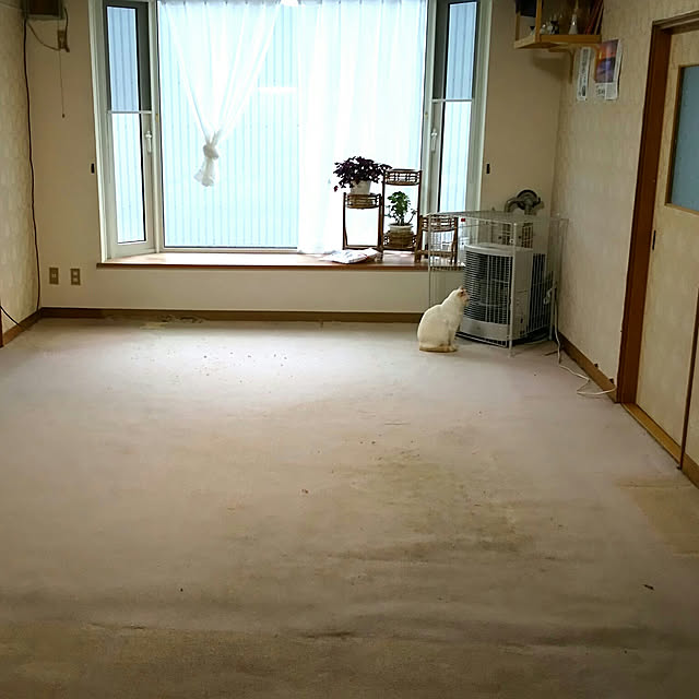 Mashaさんの実例写真