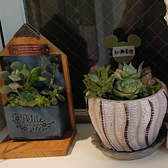 annaさんの部屋