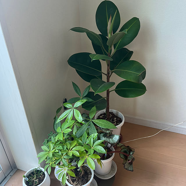 khaiさんの部屋