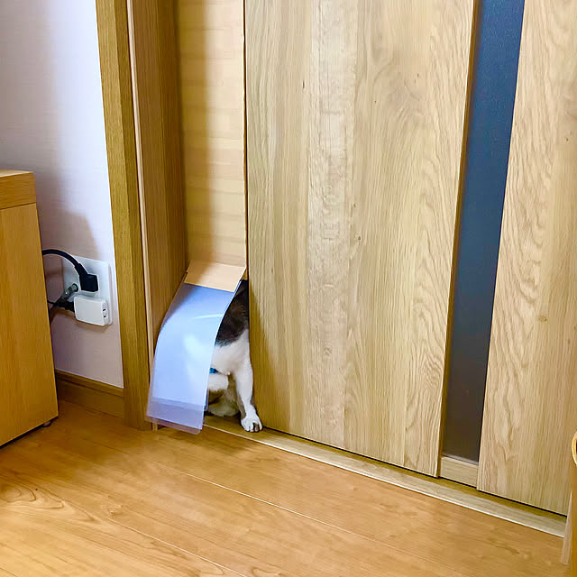 haruminさんの部屋