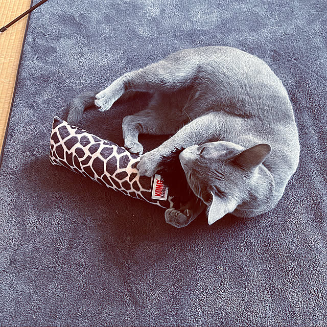 kyonさんの実例写真