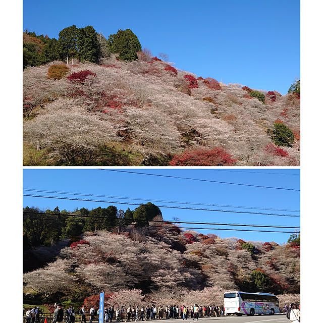 ToReTaRiさんの実例写真