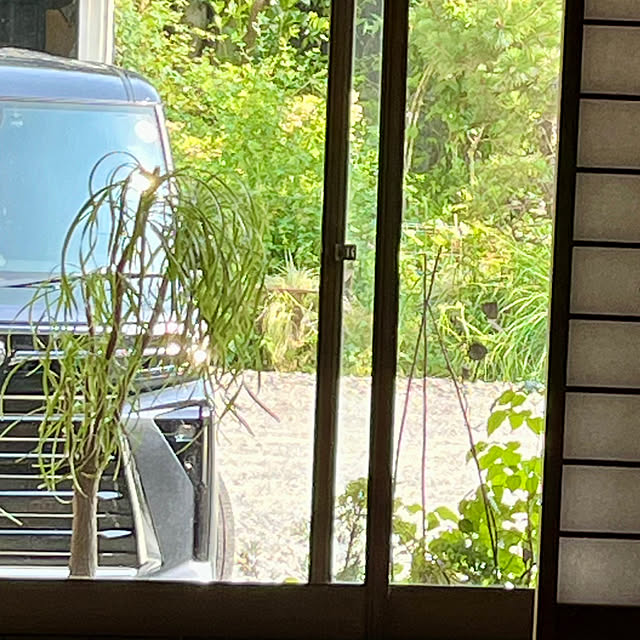 cotaさんの部屋