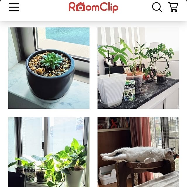 MOMOMAMAさんの部屋