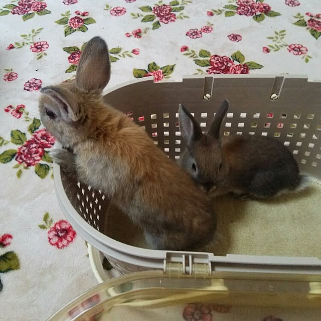yu-ya1124さんの実例写真
