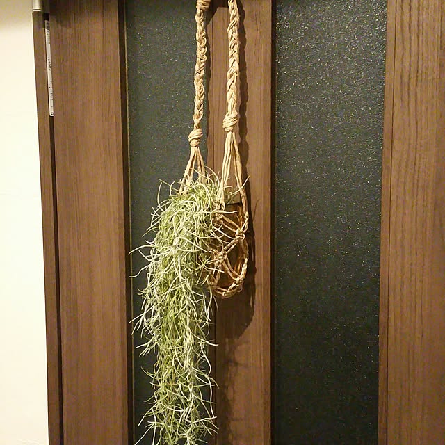 yumiさんの実例写真