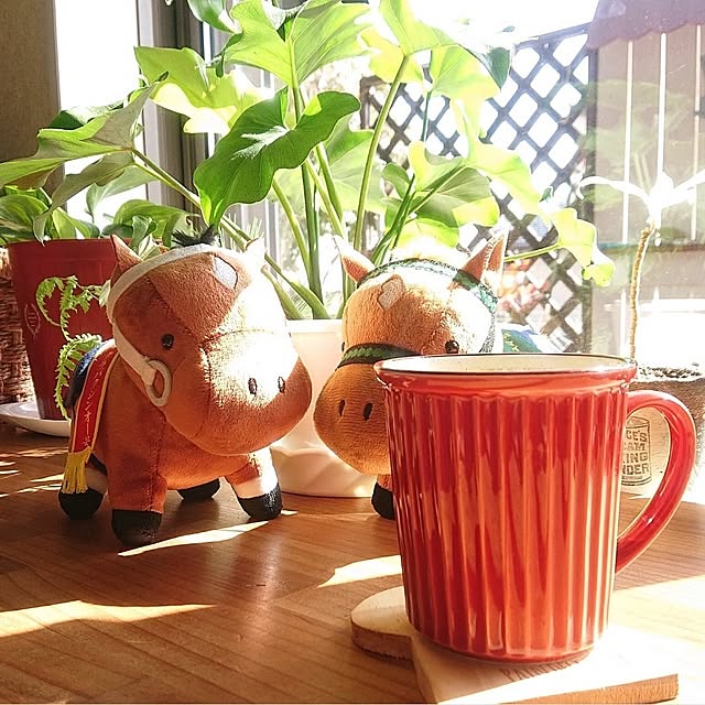 KOMARIN358さんの実例写真