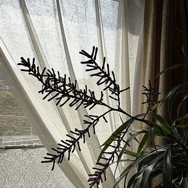 ritsukoさんの部屋