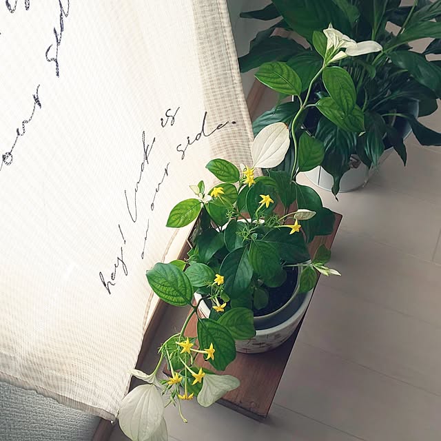 KOHAKUさんの部屋