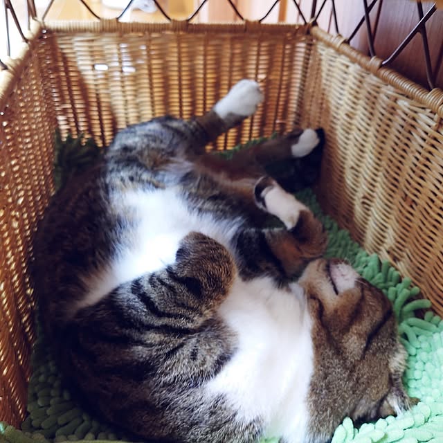 nachiさんの部屋