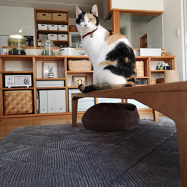 koyurizuさんの実例写真