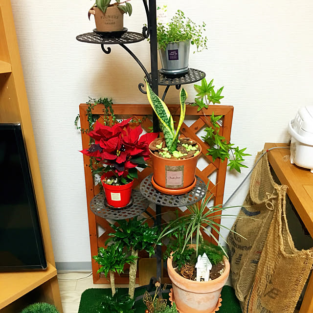numaさんの実例写真