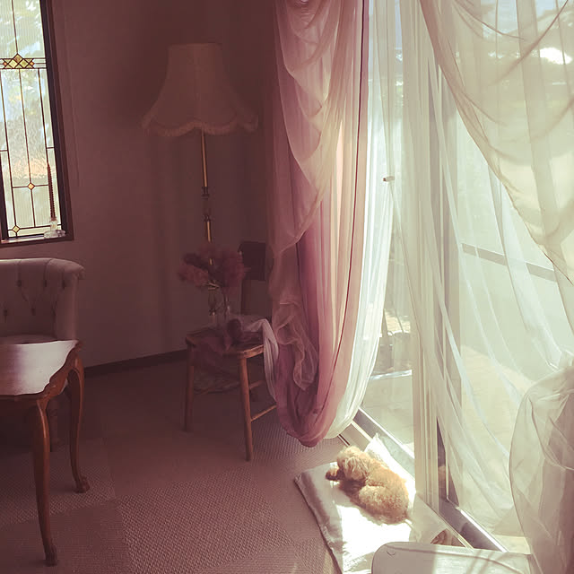 marikaさんの実例写真