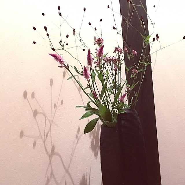 Y0206さんの実例写真