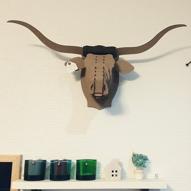 haginostukiさんの実例写真