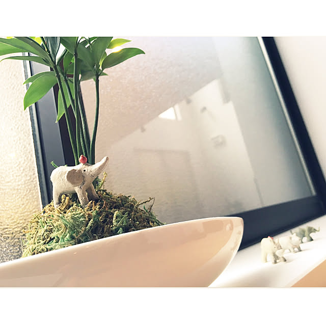Noboさんの実例写真