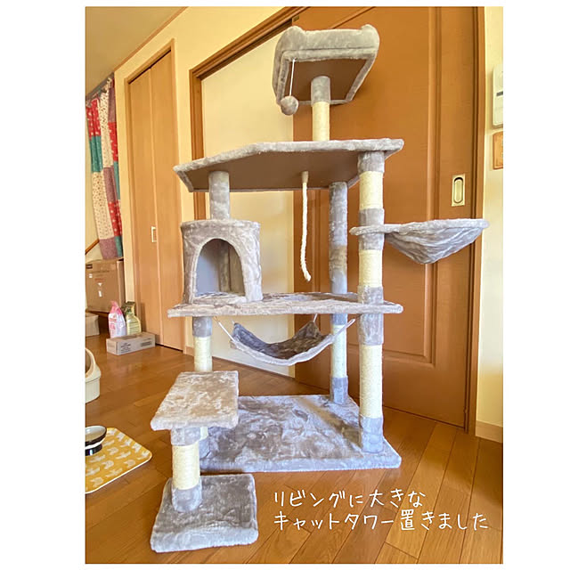 prelumoさんの実例写真