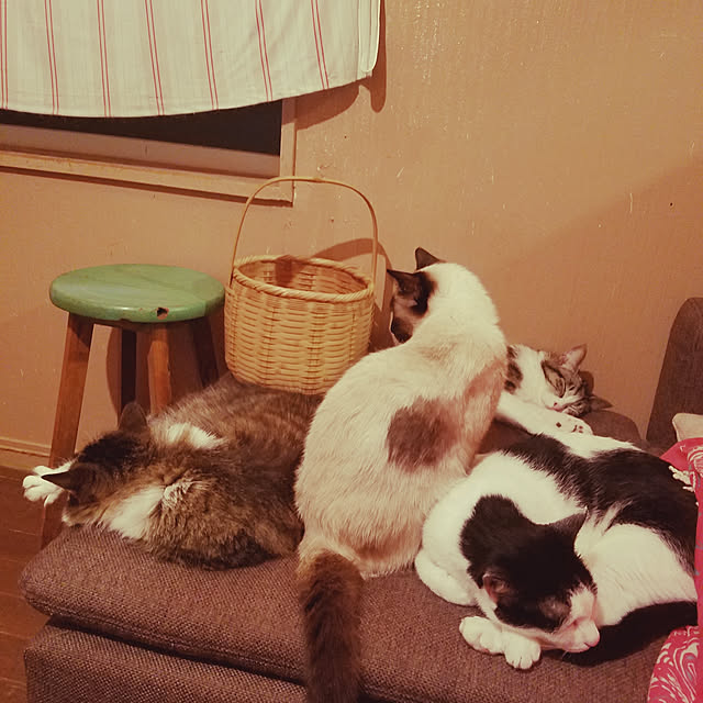 sioyukiさんの実例写真