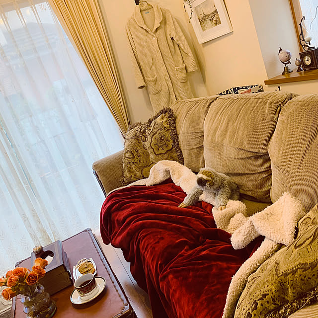 kochimaruさんの実例写真