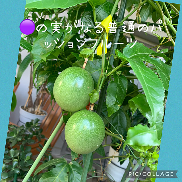 Aqettyさんの部屋