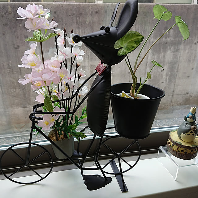 totoroさんの実例写真