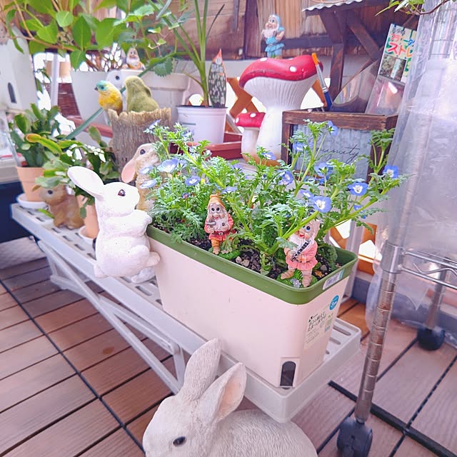 mariaさんの実例写真