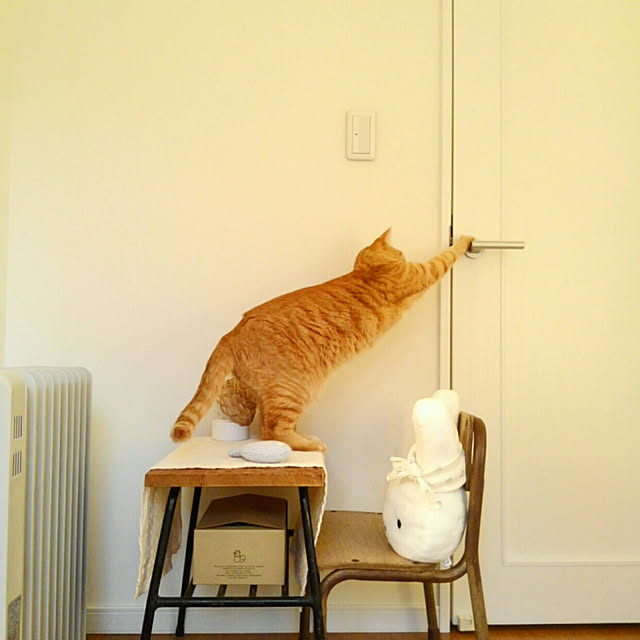 mayutan.さんの実例写真