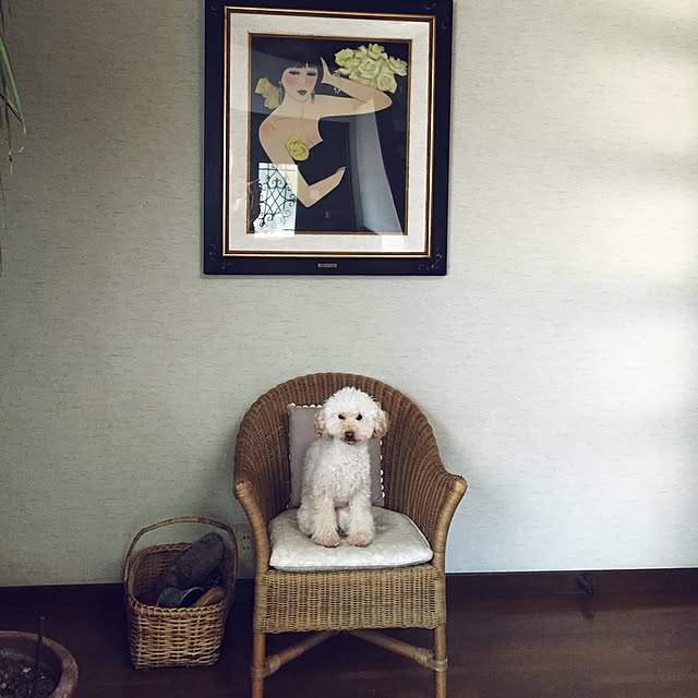 okarinさんの実例写真
